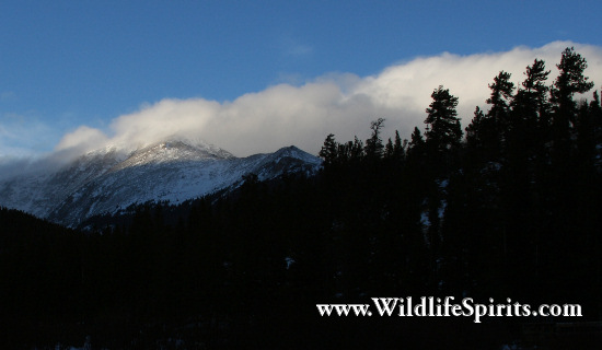 Click Picture to send as an  E-PostCard 63k 550x320
